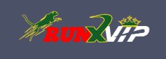 Exploring the Exciting World of Runx Bet Your Ultimate Guide Exploring the Exciting World of Runx Bet Your Ultimate Guide