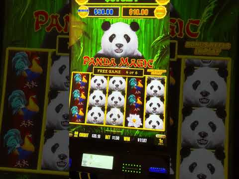 Discover Excitement at Spinpanda Casino & Sportsbook Discover Excitement at Spinpanda Casino & Sportsbook