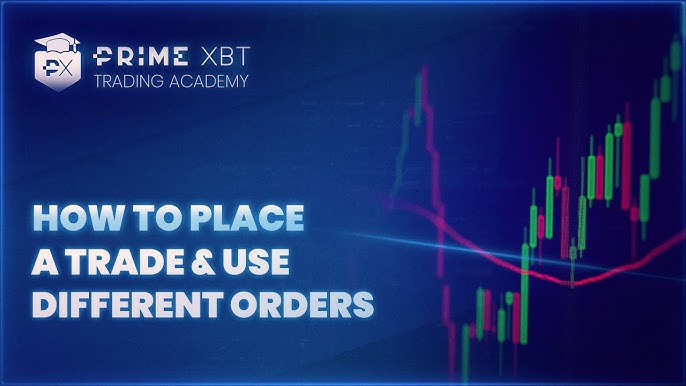 Understanding PrimeXBT Account Types Your Guide to Choosing the Right One Understanding PrimeXBT Account Types Your Guide to Choosing the Right One